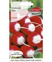 Nasiona Rzodkiewka Caro 10g