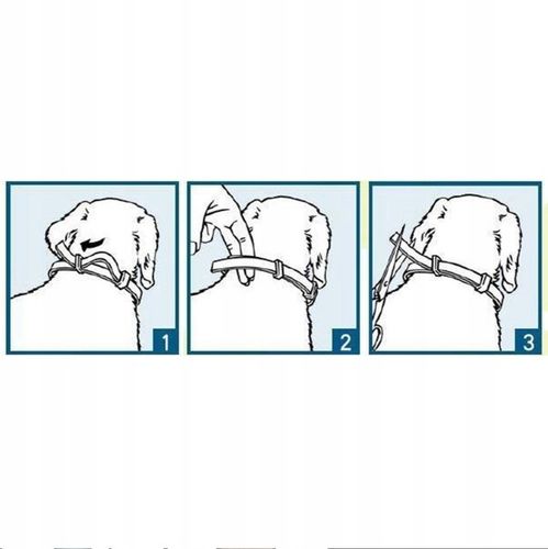 Obroża dla psa na kleszcze i pchły 63 cm – 8 miesięcy ochrony + GRATIS na Arena.pl