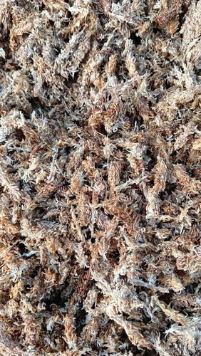 Mech Sphagnum Mech Torfowiec 3l na Arena.pl