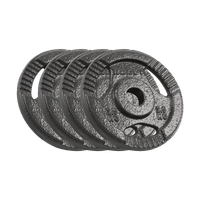 Obciążenie żeliwne zestaw 4x2.5kg 10kg otwór 31mm talerz z uchwytami Rebel