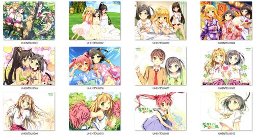 Poduszka Hentai Ouji to Warawanai Neko DO WYBORU na Arena.pl