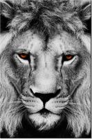 80CM 120 OBRAZ LWIE SPOJRZENIE ŚCIENNY