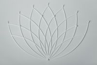 Wieszak Lotos / L White