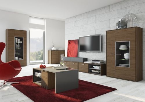 Witryna Szklana Stojąca do Salonu Harmony 15 na Arena.pl