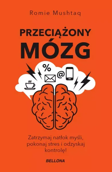 Przeciążony mózg zdjęcie 1