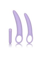 Isabelle Set Of 2 Dilators Purple