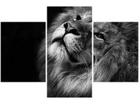 90X60CM OBRAZ SREBRNY LEW TRZY OBRAZY
