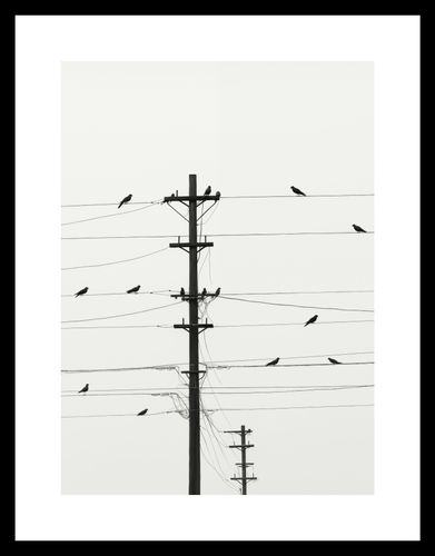 Plakat 20,5x28,4cm Symfonia na Drutach na Arena.pl