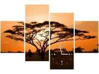 product-compare-58639256