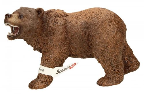 Niedzwiedź Grizzly na Arena.pl