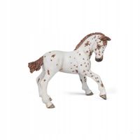 ŻREBIĘ APPALOOSA - Brown appaloosa foal PAPO 51510