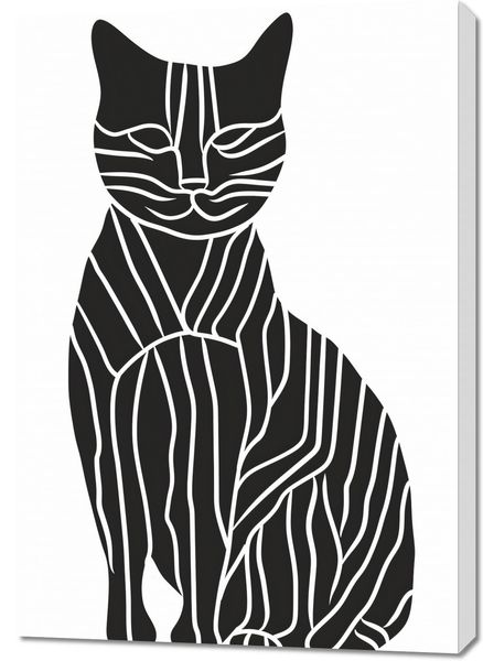 Obraz 70x100cm Zebra w Kocim Ciele zdjęcie 1