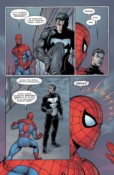 Punisher. Tom 1 zdjęcie 3