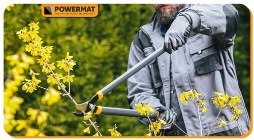 ZESTAW SEKATORÓW I NOŻYC OGRODOWYCH DO GAŁĘZI KRZEWÓW ŻYWOPŁOTU 3 SZT na Arena.pl