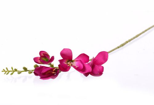 Frezja różowa 59cm na Arena.pl