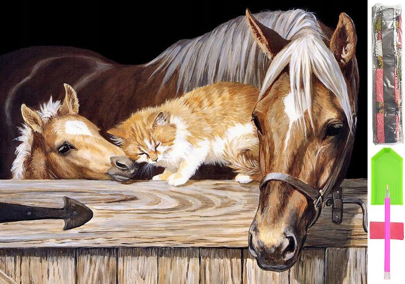 HAFT DIAMENTOWY 5D Zestaw Obraz MOZAIKA 40*60cm zdjęcie 1