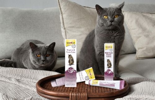 GIMCAT PASTA ODKŁACZAJĄCA DLA KOTA MALT SOFT 400g na Arena.pl