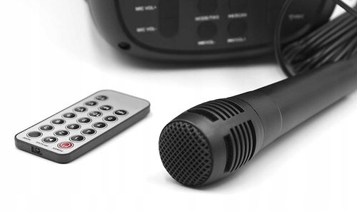 Głośnik karaoke SQUEAK Beatflow Bluetooth 5.0 + EDR na Arena.pl