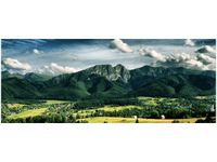 100X40CM SŁONECZNY DZIEŃ DOLINIE OBRAZ DREWNO