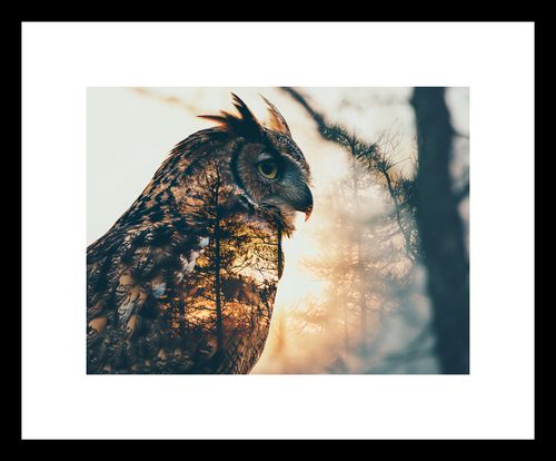 Plakat 20x15cm Sowi Duch na Arena.pl