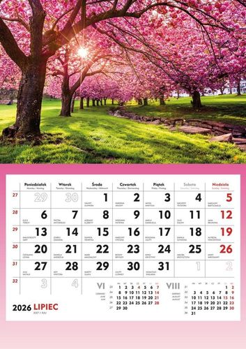 KALENDARZ ŚCIENNY JEDNODZIELNY 2026  KWITNĄCE DRZEWA T-107S-3 MICHALCZYK na Arena.pl