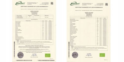 Żywy ocet jabłkowy, z dzikich jabłek 500 ml NIEPASTERYZOWANY na Arena.pl