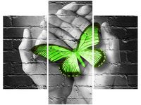 OBRAZ GREEN BUTTERFLY MOTYL DŁOŃ CEGŁA