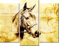 product-compare-58672657