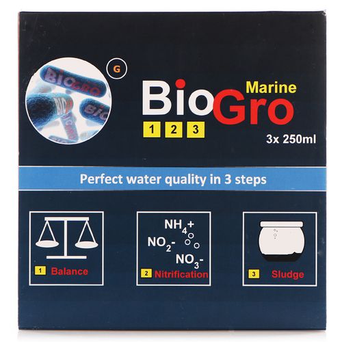 DVH BioGro 3x250ml - bakterie na Arena.pl