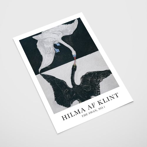 Plakat hilma af klint łabędź czarny biały 61x91 cm na Arena.pl