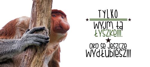 Kubek z nosaczem Wyjm tą łyżkę - 330 ml - magiczny na Arena.pl