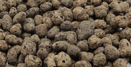 KERAMZYT ogrodniczy 50L ceramiczny ZIEMIA podłoże na Arena.pl