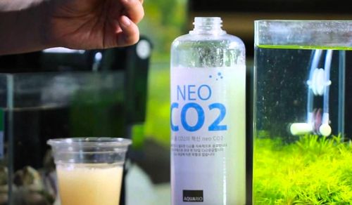 INVITAL Generator CO2 bez nocnego wył. z butlą 2l na Arena.pl