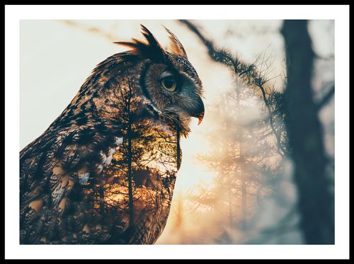 Plakat 70x50cm Sowi Duch na Arena.pl