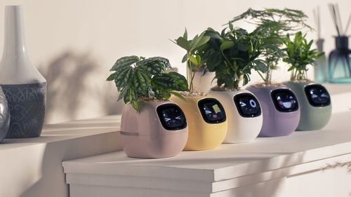 Inteligentna doniczka IVY SMART PLANTER osłonka na donicę PLANTSIO RÓŻOWA na Arena.pl