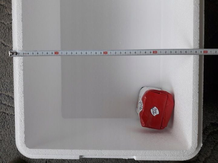 FB250 pudełko styropianowe Termobox - Fischbox 48L zdjęcie 4