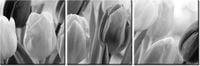90 80CM OBRAZ T3 ELEM TULIPAN DRUK ŚCIENNY