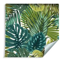 Tapeta Liście Tropikalne Egzotyczne Rośliny Przyroda