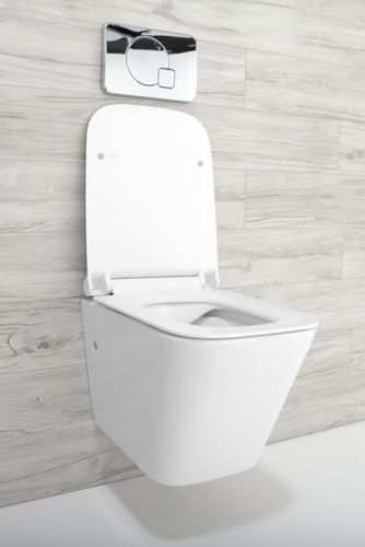 Misa WC Raul na Arena.pl