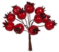 Głóg ozdobny pęczek 10 cm