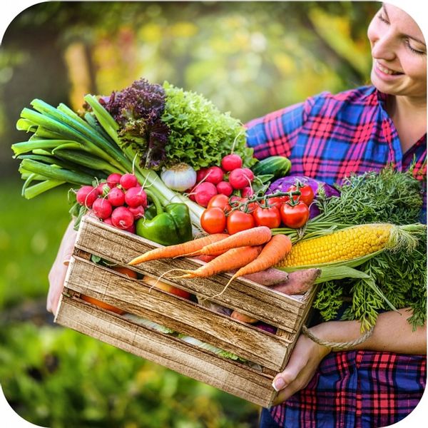 FruktoVit Plus Nawóz uniwersalny granulowany ogrodniczy 5kg ZDROWE ROŚLINY zdjęcie 4