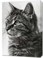 Obraz 50x70cm Kocie Wpatrzenie