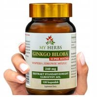 Ginkgo biloba 240mg 120szt pamięć koncentracja forte witalność Super Mocna