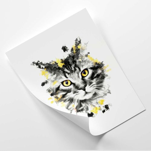 Plakat, Bury kot 40x60 na Arena.pl