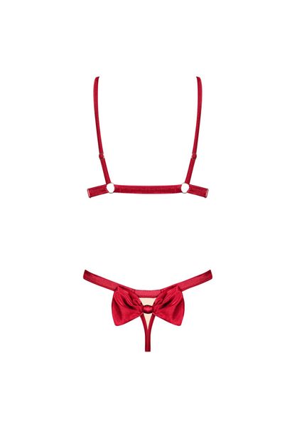 Komplet Biustonosz Stringi Obsessive Rubinesa S/M zdjęcie 6