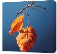 Obraz 60x60cm Ostatni Oddech Lata