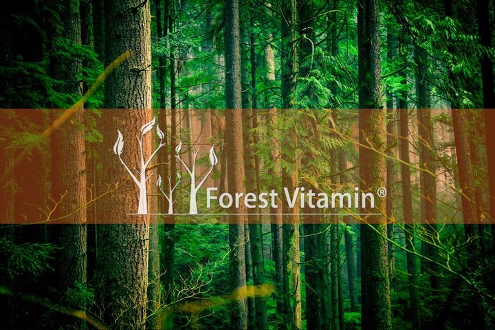 KURKUMINA PIPERYNA MOCNA STANDARYZACJA KURKUMA 100 zdjęcie 6