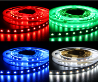 Profesjonalna tasma LED 19.2W/m, 24V, 60LED RGB + NW 4000K, IP33, 50m