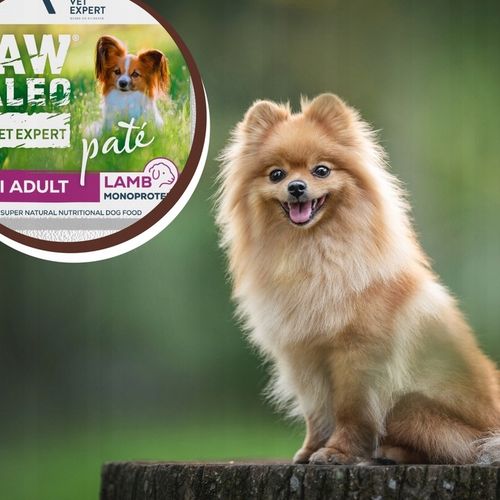 Mokra karma dla psów dorosłych małych ras jagnięcina Raw Paleo Pate 12x150g na Arena.pl