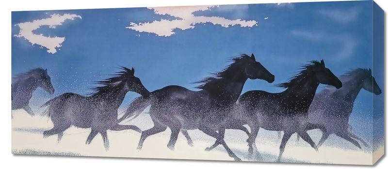 Obraz 90x40cm Wolność i Swoboda zdjęcie 1